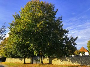 Helchenbach