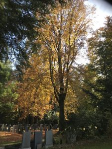 Waldkraiburg Waldfriedhof