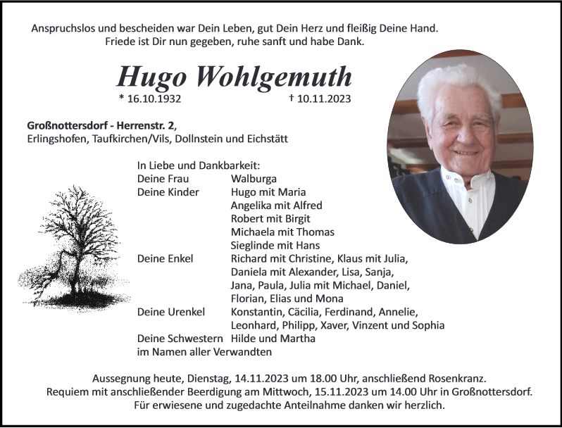 Hugo Wohlgemuth