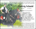 Ludwig Schmid